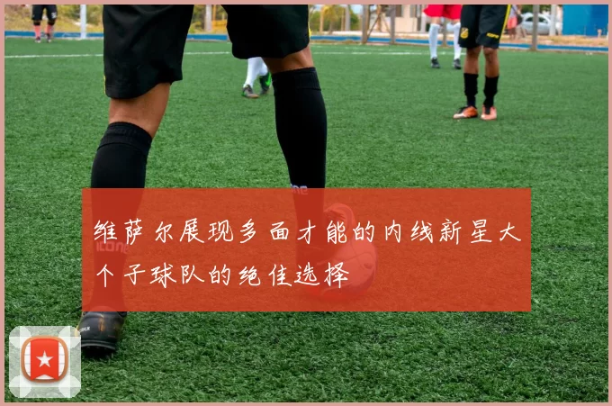 维萨尔展现多面才能的内线新星大个子球队的绝佳选择