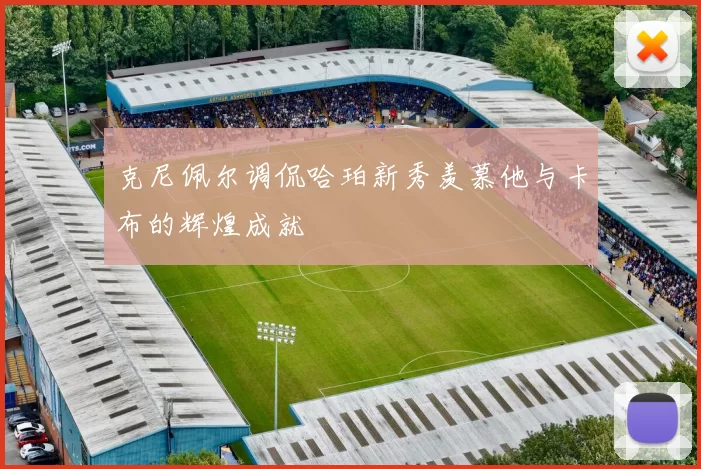 克尼佩尔调侃哈珀新秀羡慕他与卡布的辉煌成就