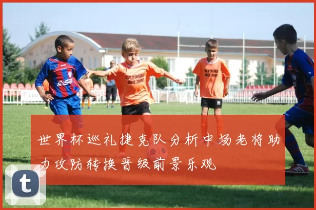 世界杯巡礼捷克队分析中场老将助力攻防转换晋级前景乐观