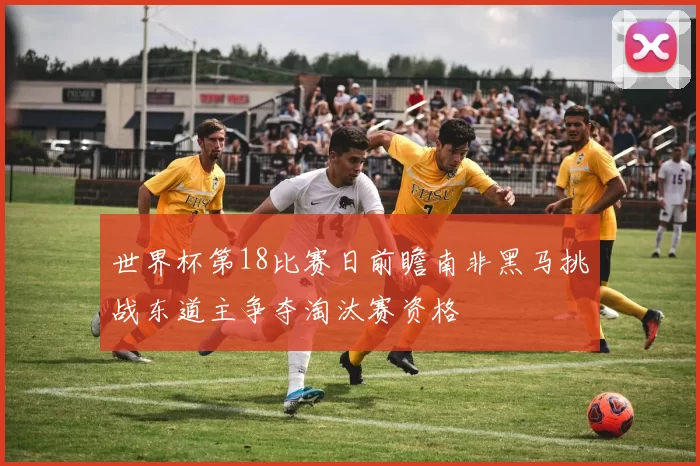 世界杯第18比赛日前瞻南非黑马挑战东道主争夺淘汰赛资格